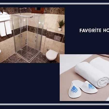 Favorite Otel 3*